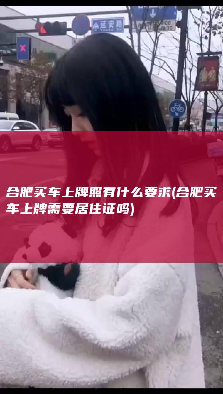 合肥买车上牌照有什么要求 (合肥买车上牌需要居住证吗)