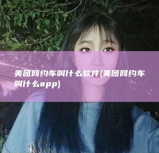 美团网约车叫什么软件 (美团网约车叫什么app)