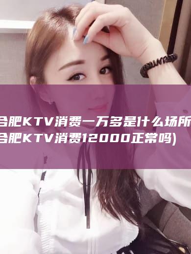 合肥KTV消费一万多是什么场所 (合肥KTV消费12000正常吗)