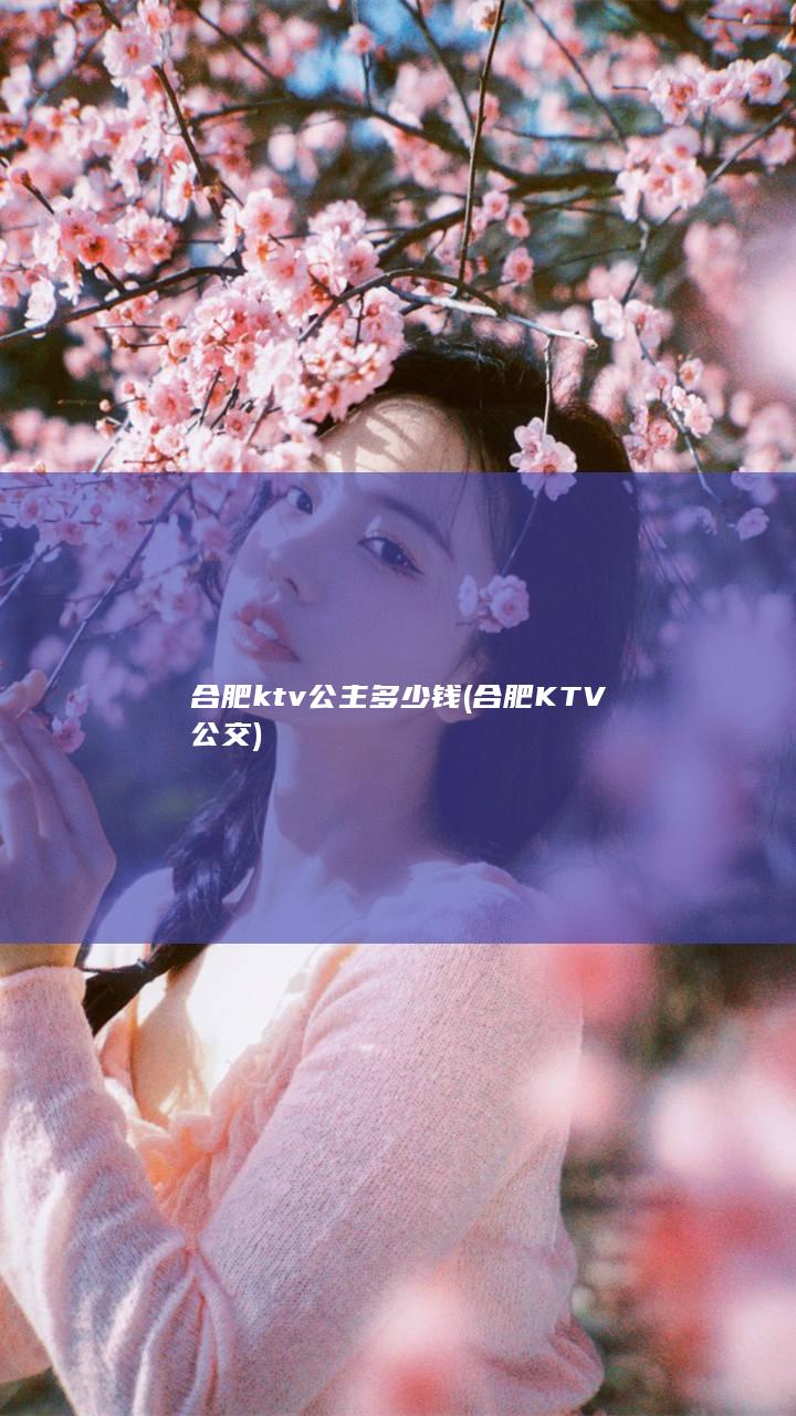 合肥ktv公主多少钱 (合肥KTV公交)