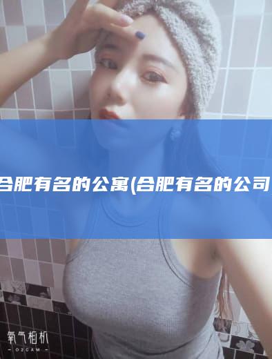 合肥有名的公寓 (合肥有名的公司)